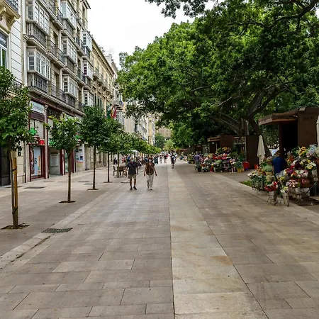 Lägenhet Malagasuite Centre With Terrace Málaga
